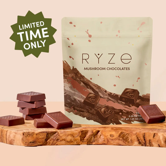 Mushroom Chocolates Rye (15 pieces)